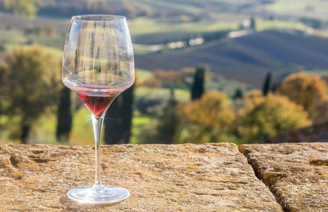 Visita a uma adega em Bardolino - Foto 6
