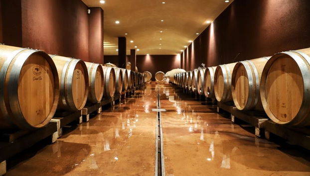 Visita a una cantina di Bardolino - Foto 2