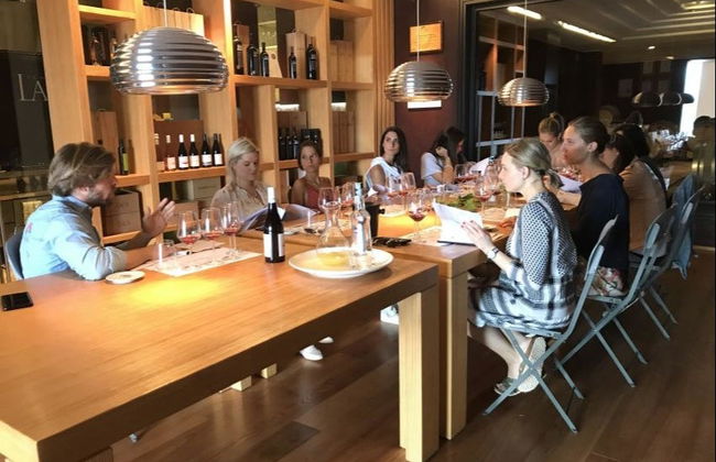 Visita a uma adega em Bardolino - Foto 3