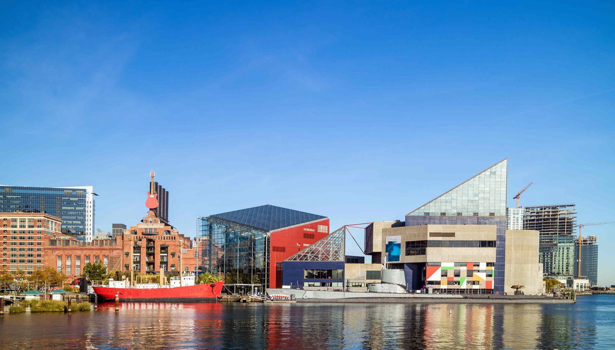 Paseo en barco por el puerto de Baltimore - Foto 1
