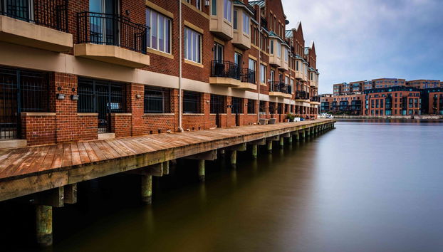 Paseo en barco por el puerto de Baltimore - Foto 4