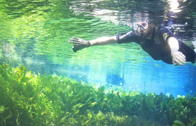Snorkel en el río Baía Bonita - Foto 8