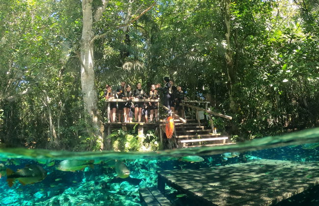 Snorkel en el río Baía Bonita - Foto 2