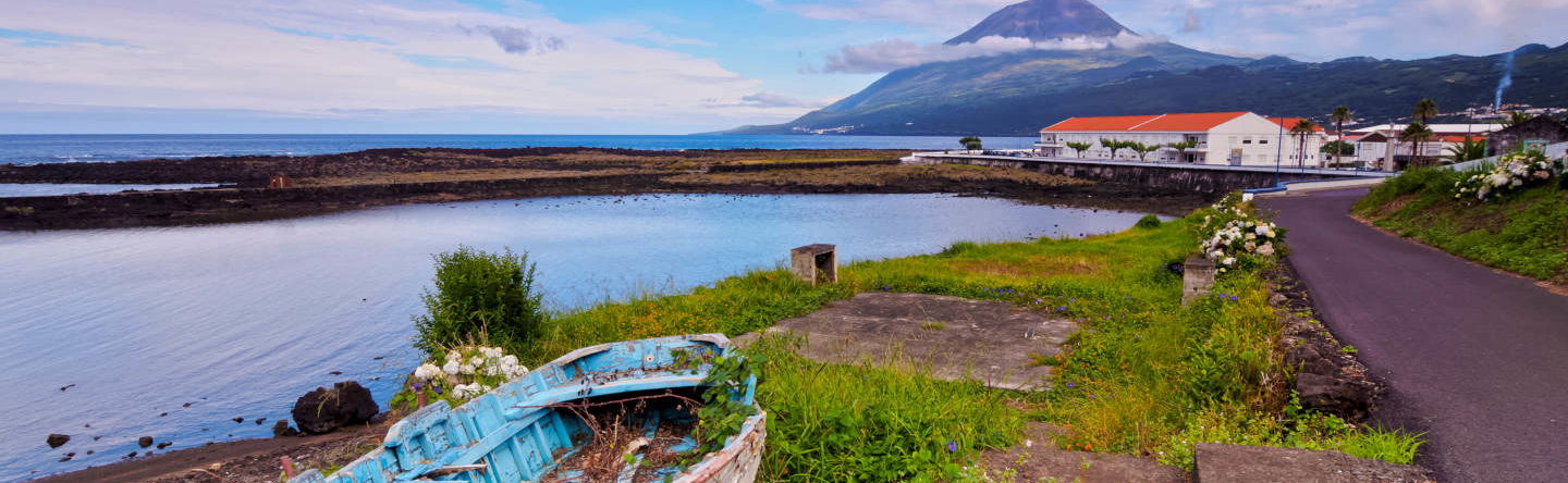 Pico Island Full-Day Tour - Foto 1