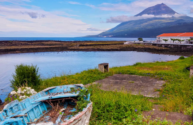 Visite de Pico et de l'île - Photo 1