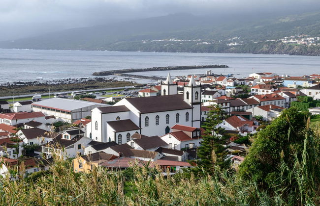 Visite de Pico et de l'île - Photo 1