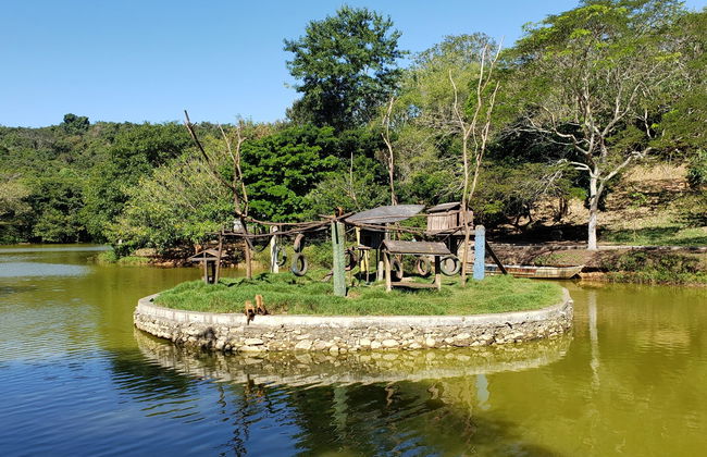 Aracaju Markets Tour + Museu da Gente Sergipana - Foto 6
