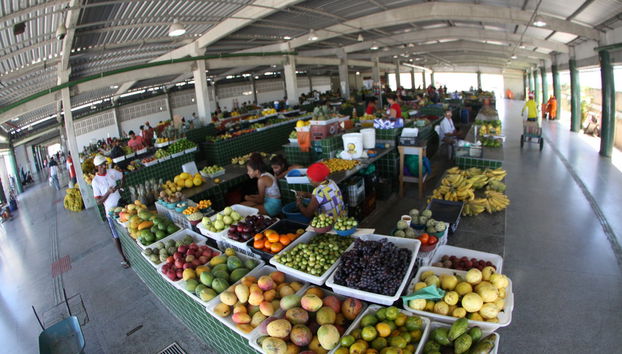 Aracaju Markets Tour + Museu da Gente Sergipana - Foto 2