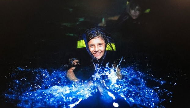 Bioluminescent Plankton Tour - Photo 2