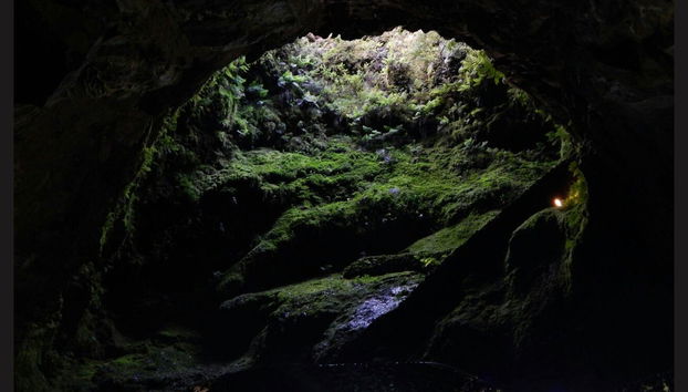 Volcanic Caves Day Trip - Photo 2