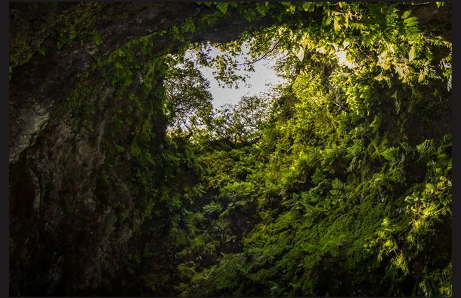 Excursão às grutas vulcânicas da Terceira - Foto 1
