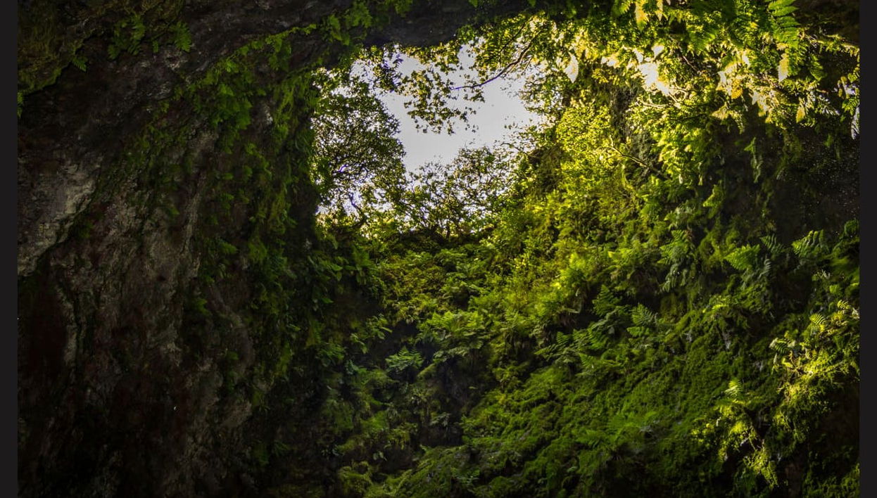 Volcanic Caves Day Trip - Photo 1