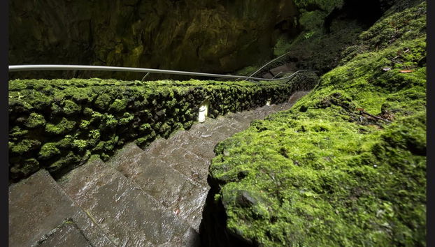 Volcanic Caves Day Trip - Photo 3