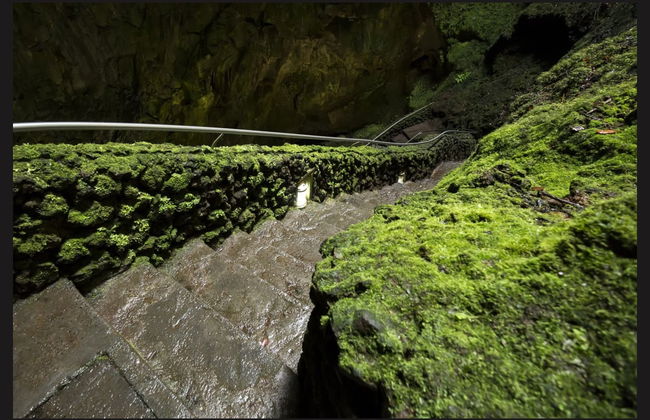 Excursão às grutas vulcânicas da Terceira - Foto 3