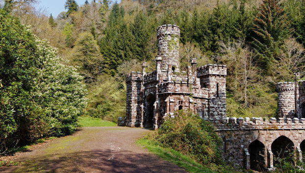 Ballysaggartmore Towers Hiking Tour - Foto 3