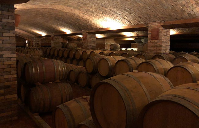 Tour del vino por São Joaquim - Foto 5