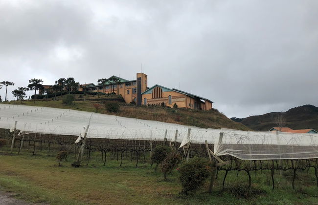 Tour del vino por São Joaquim - Foto 2
