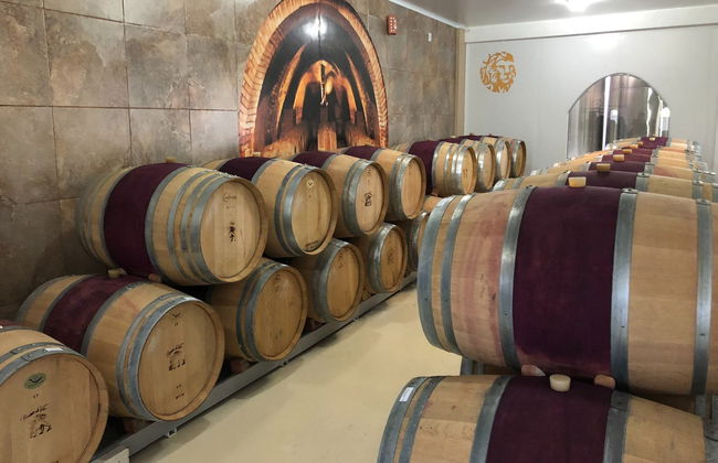 Tour del vino por São Joaquim - Foto 4