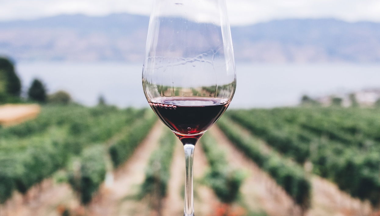 Tour do vinho em São Joaquim com almoço