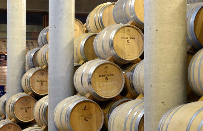 Heras Cordon Winery Tour - Photo 5