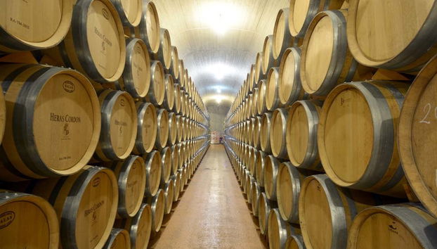 Heras Cordon Winery Tour - Foto 3