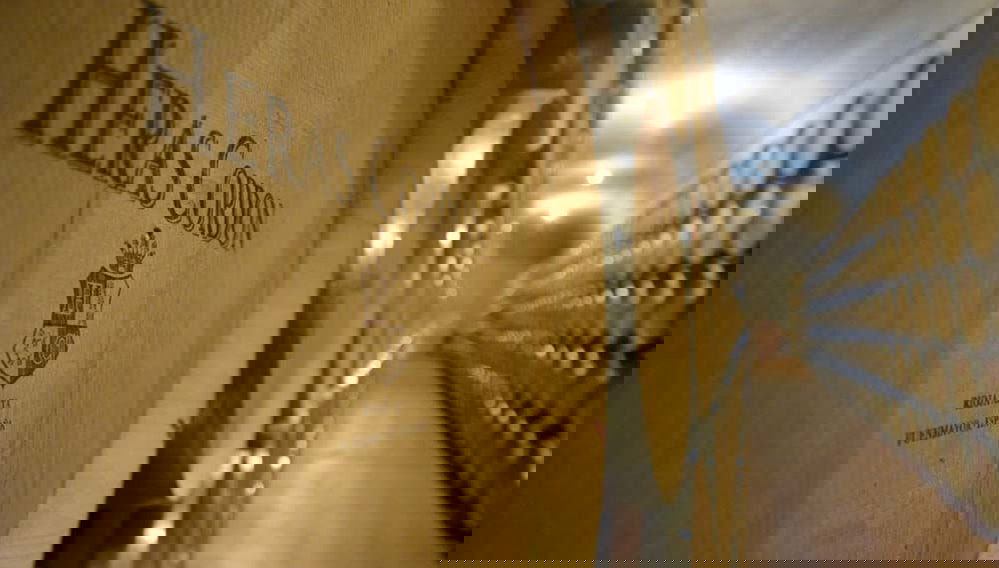 Heras Cordon Winery Tour - Foto 1