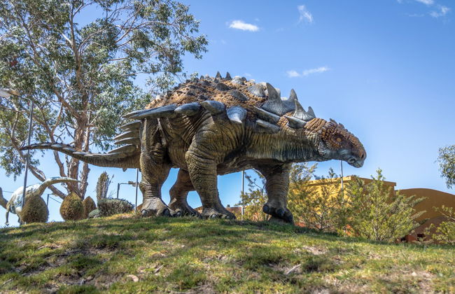 Tour privado por Cal Orcko - Foto 4