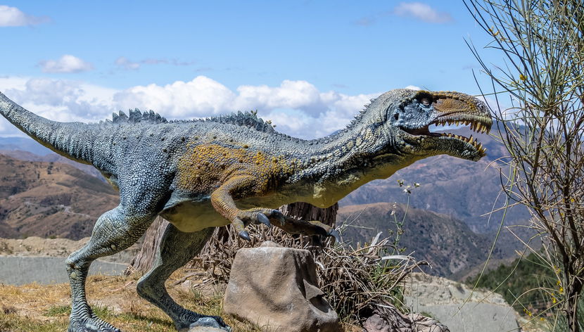 Private Tour of Cal Orck'o Cretaceous Park - Photo 3