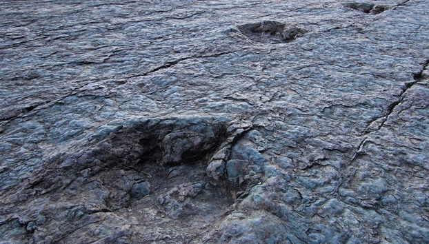 Private Tour of Cal Orck'o Cretaceous Park - Photo 5