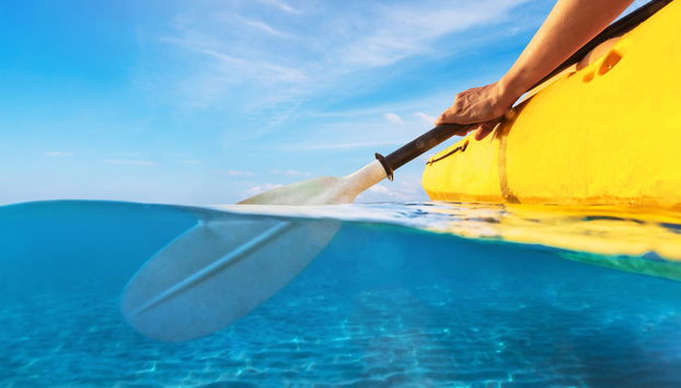 Sea Lion Cave Snorkelling - Foto 5