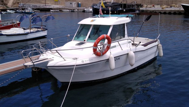 Sea Lion Cave Snorkelling - Foto 2