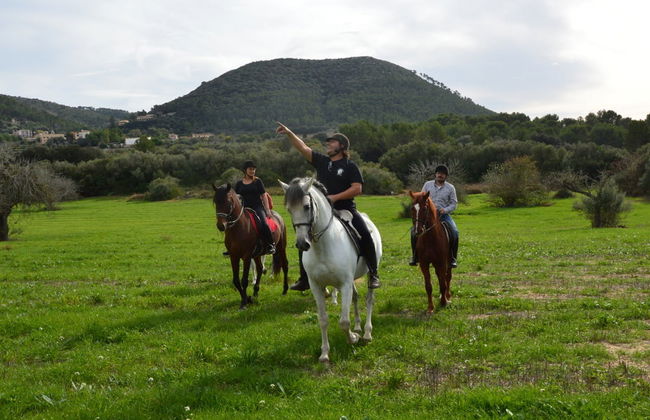 Passeggiata a cavallo a Randa - Foto 3