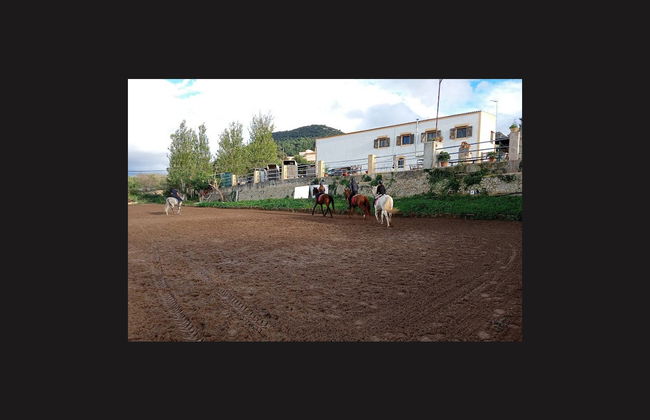 Paseo a caballo por Randa - Foto 6