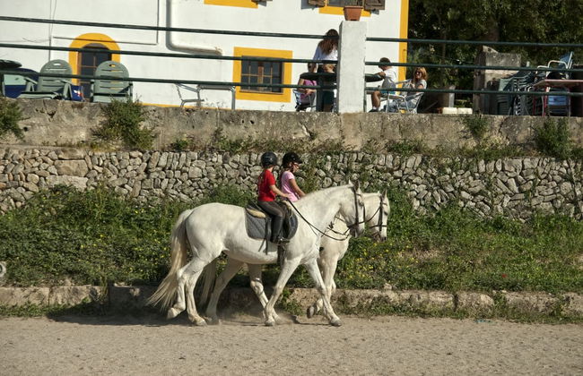 Passeggiata a cavallo a Randa - Foto 2