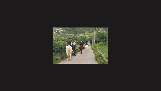 Balade à cheval à Randa - Photo 5