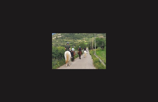 Horseback Riding in Randa, Mallorca - Foto 5
