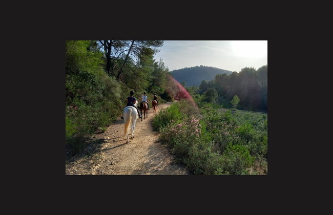 Horseback Riding in Randa, Mallorca - Foto 3
