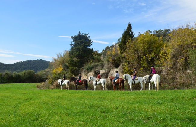 Passeggiata a cavallo a Randa - Foto 1