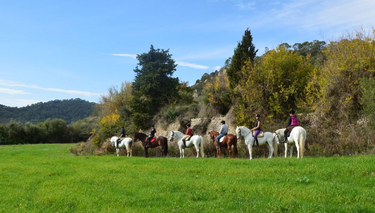 Passeggiata a cavallo a Randa - Foto 1