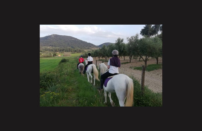 Horseback Riding in Randa, Mallorca - Foto 4