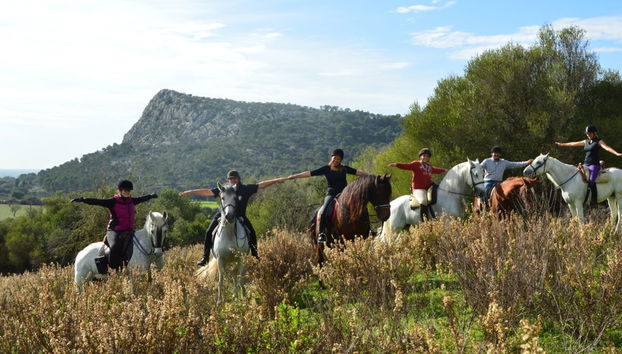 Passeggiata a cavallo a Randa - Foto 4
