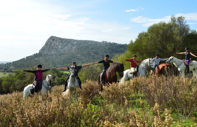 Passeggiata a cavallo a Randa - Foto 4