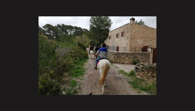 Balade à cheval à Randa - Photo 2