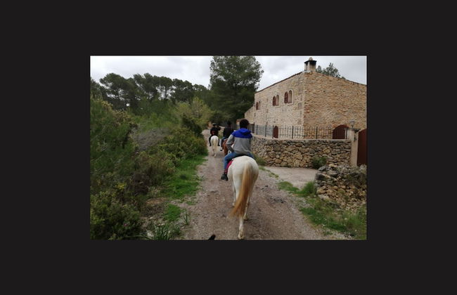 Horseback Riding in Randa, Mallorca - Foto 2