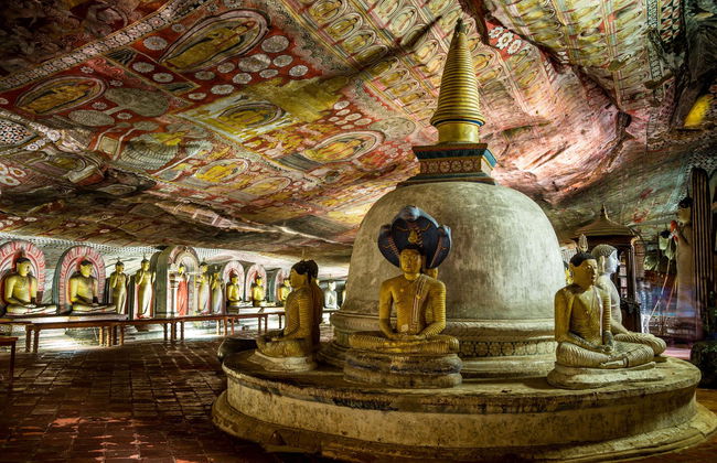 Sigiriya & Dambulla Private Day Trip - Foto 1