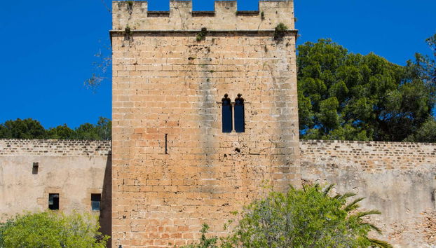 Visite en segway dans Dénia - Photo 4
