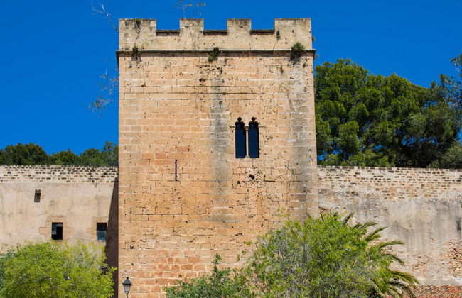 Tour en segway por Denia - Foto 4