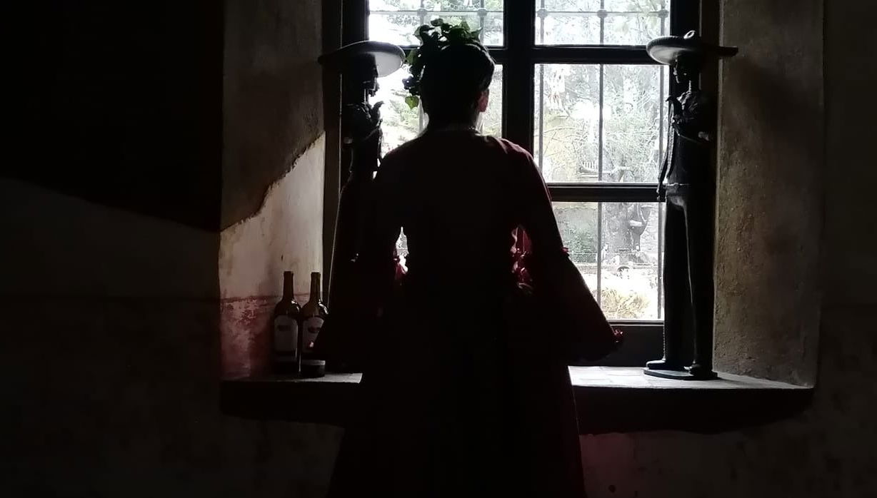 Tour in El Marqués - Photo 1