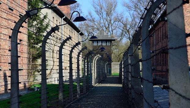 Auschwitz Day Trip - Photo 4