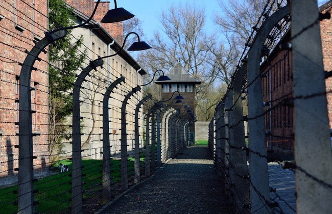 Excursión privada a Auschwitz-Birkenau - Foto 3